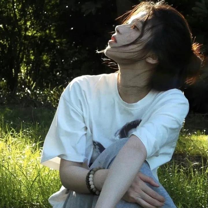 屋顶上的轻骑兵